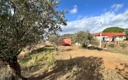 BALIKESİR – GÖMEÇ KUYUALAN’DA       DOĞAYLA İÇ İÇE VİLLA ARSALARI!