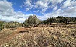 BALIKESİR – GÖMEÇ KUYUALAN’DA       DOĞAYLA İÇ İÇE VİLLA ARSALARI!