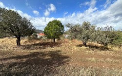 BALIKESİR – GÖMEÇ KUYUALAN’DA       DOĞAYLA İÇ İÇE VİLLA ARSALARI!