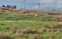 AVANTAJ GRUP DİKİLİ ARSALARI